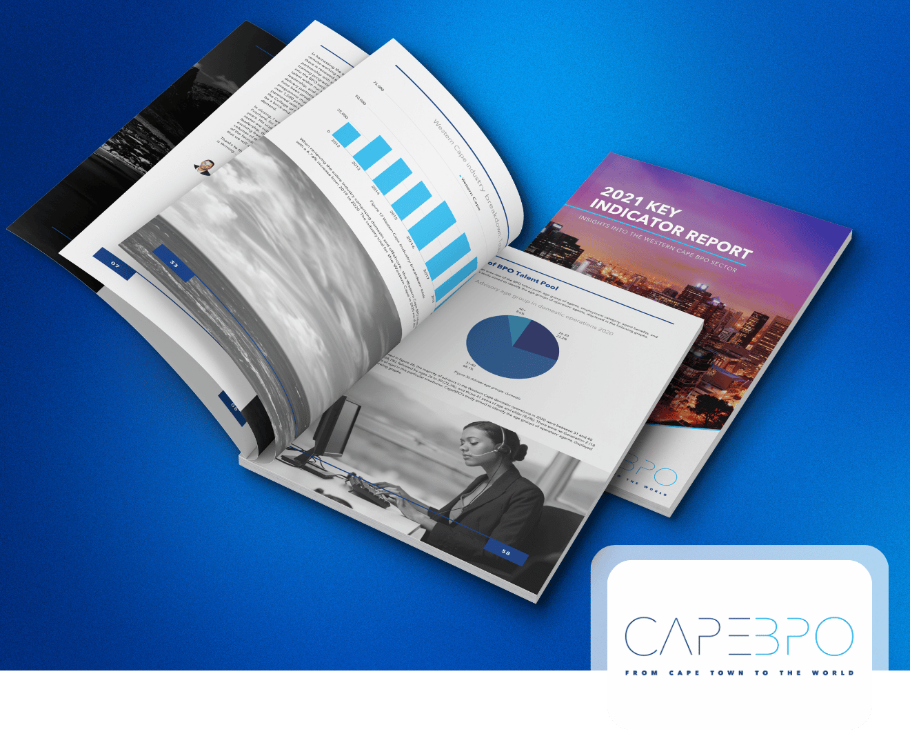 98pg Insight-Rich Sector Report