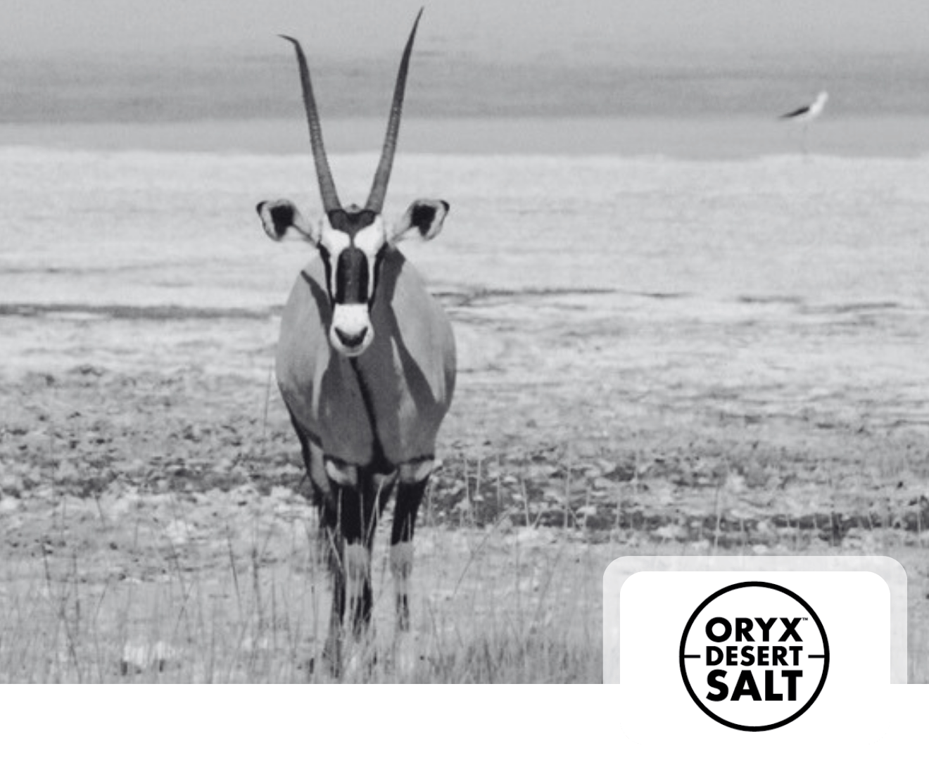 640% Increase in Impressions