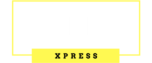 Copy of Barrk logo