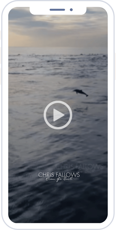 Barrk Case Studies (13)