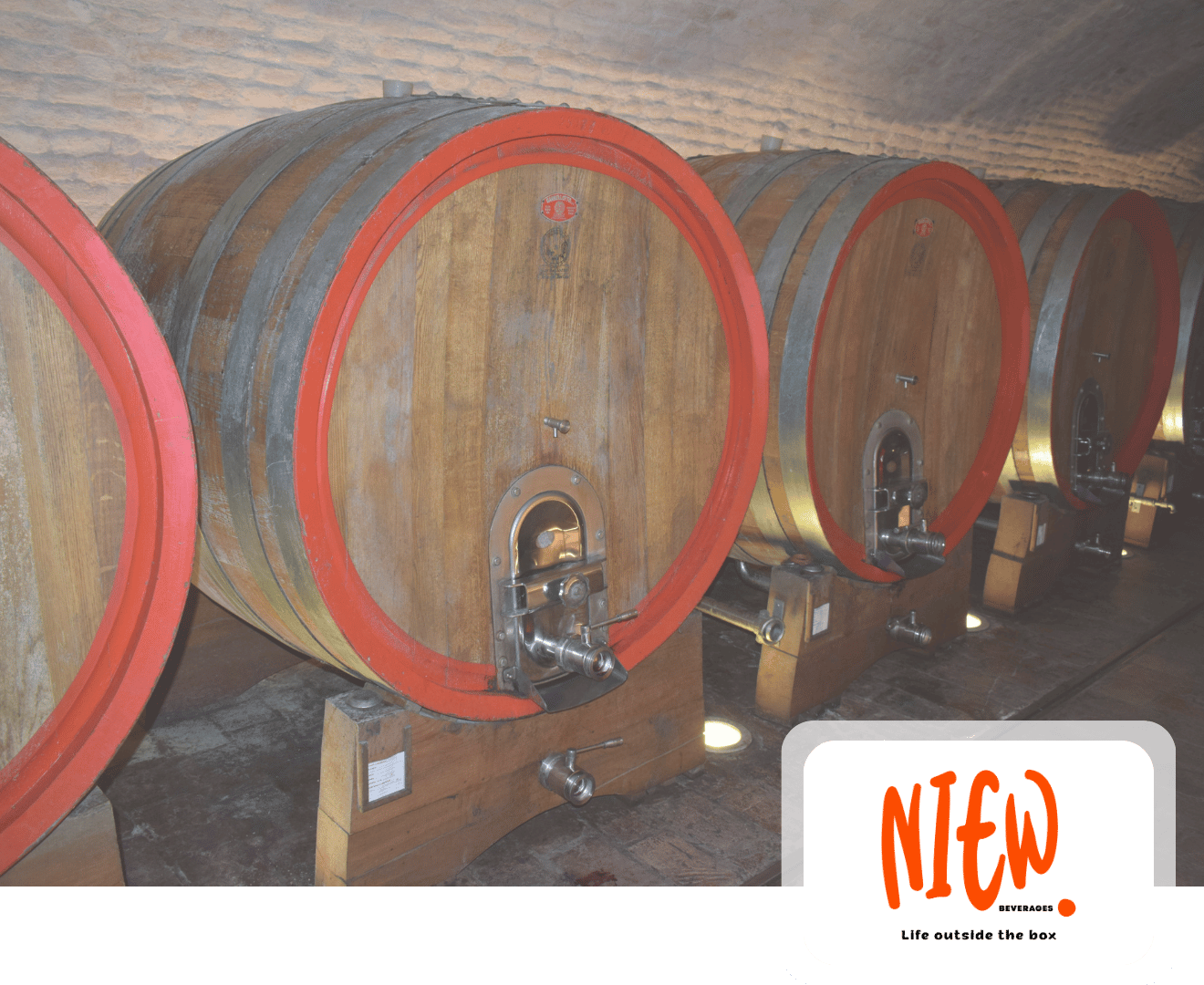 Group Website Development